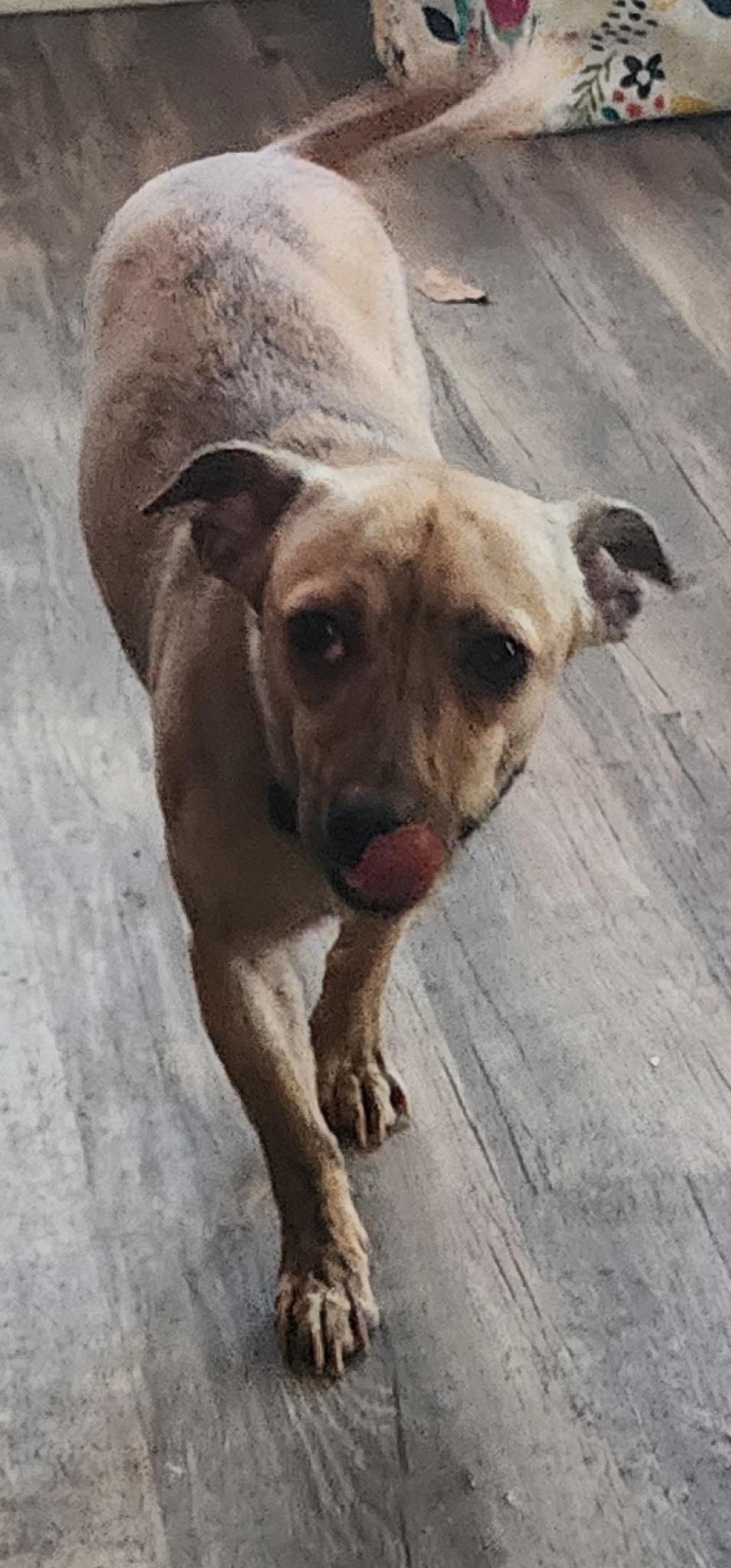 Tator Totowner Passed Away