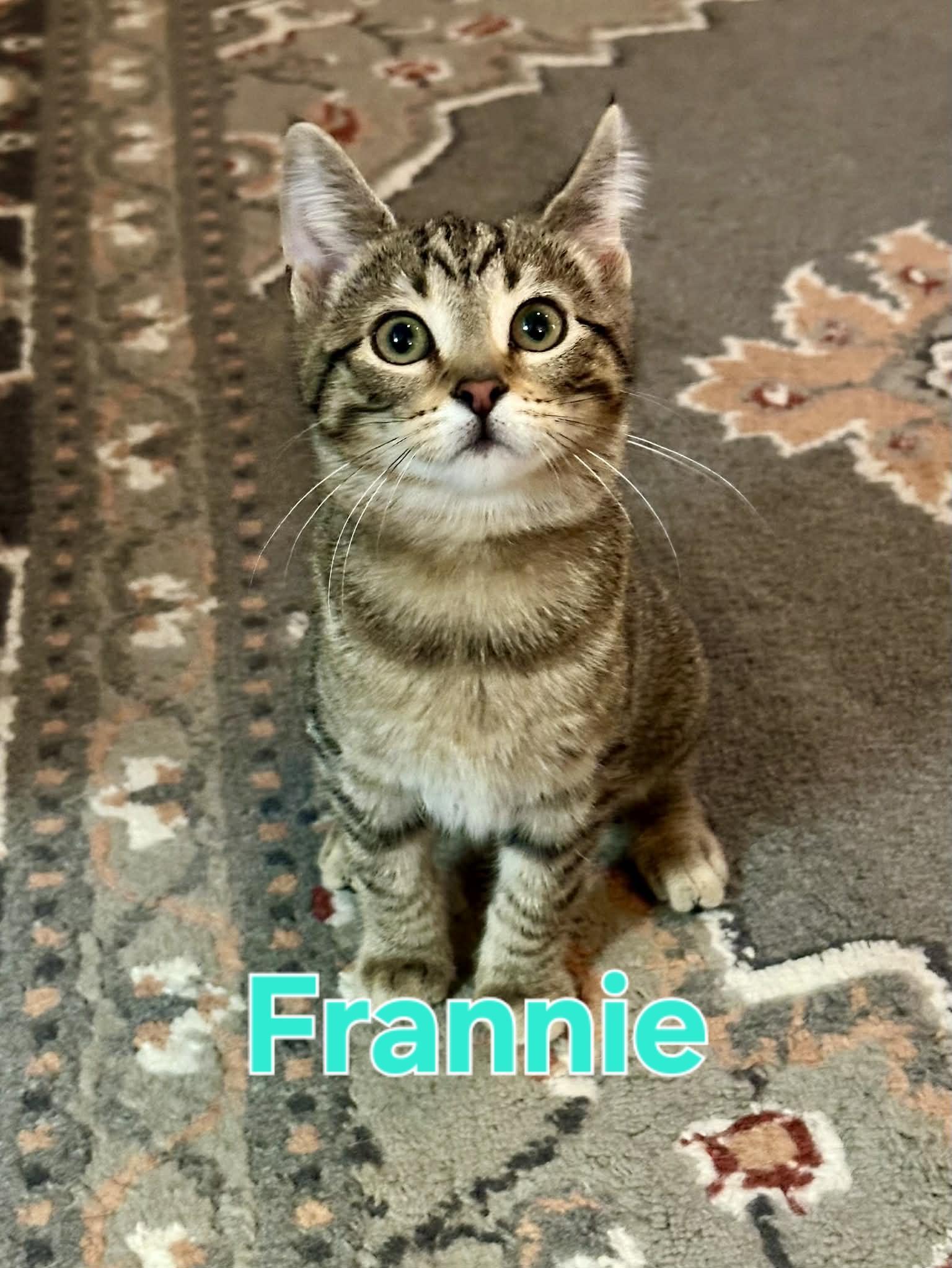 Frannie