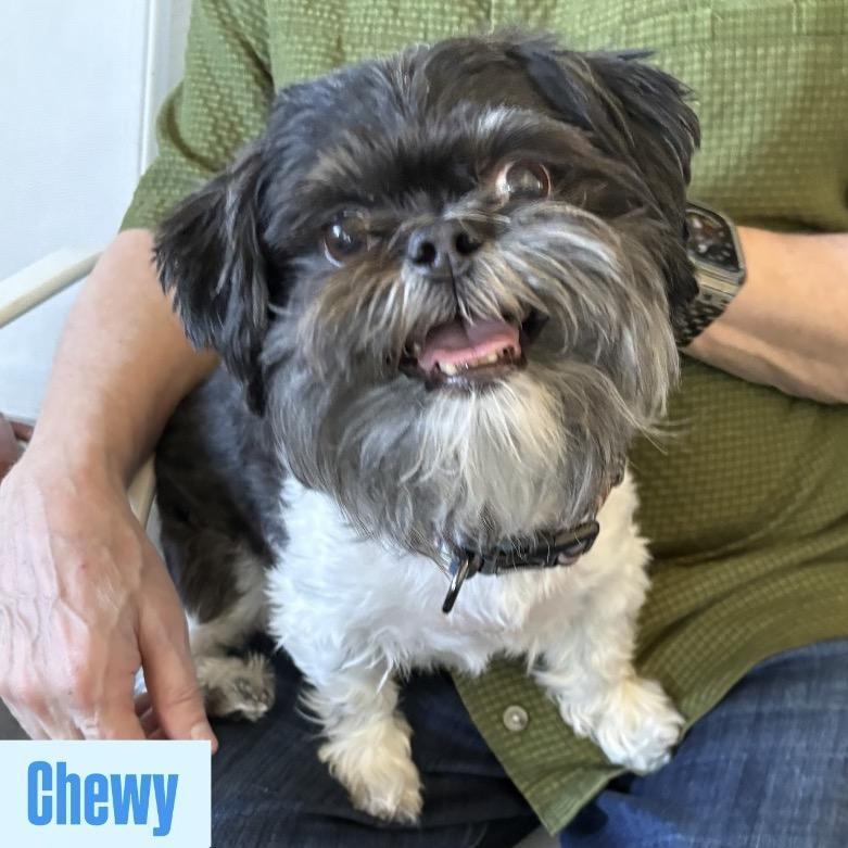 Chewy