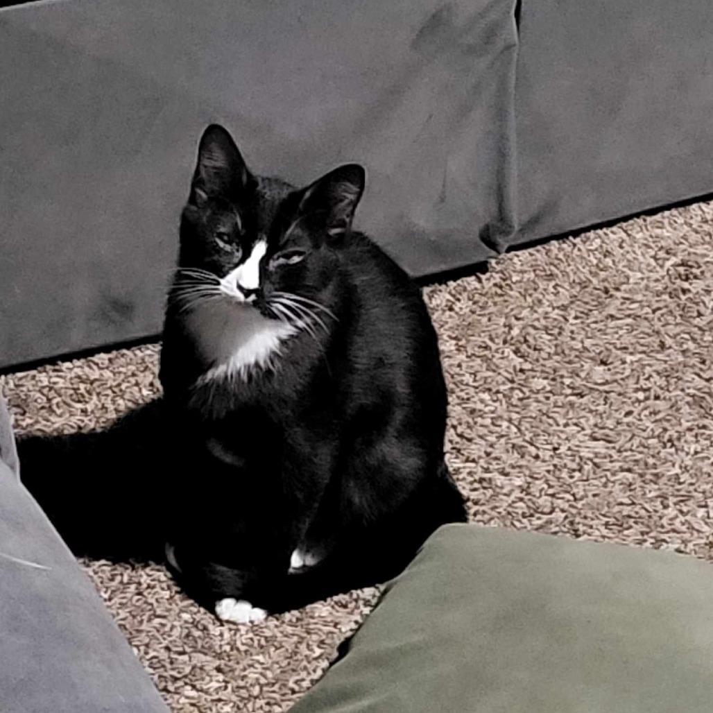 Eddie Bywaters photo 1