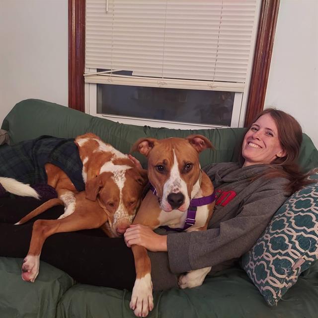 Motion City Soundtrack