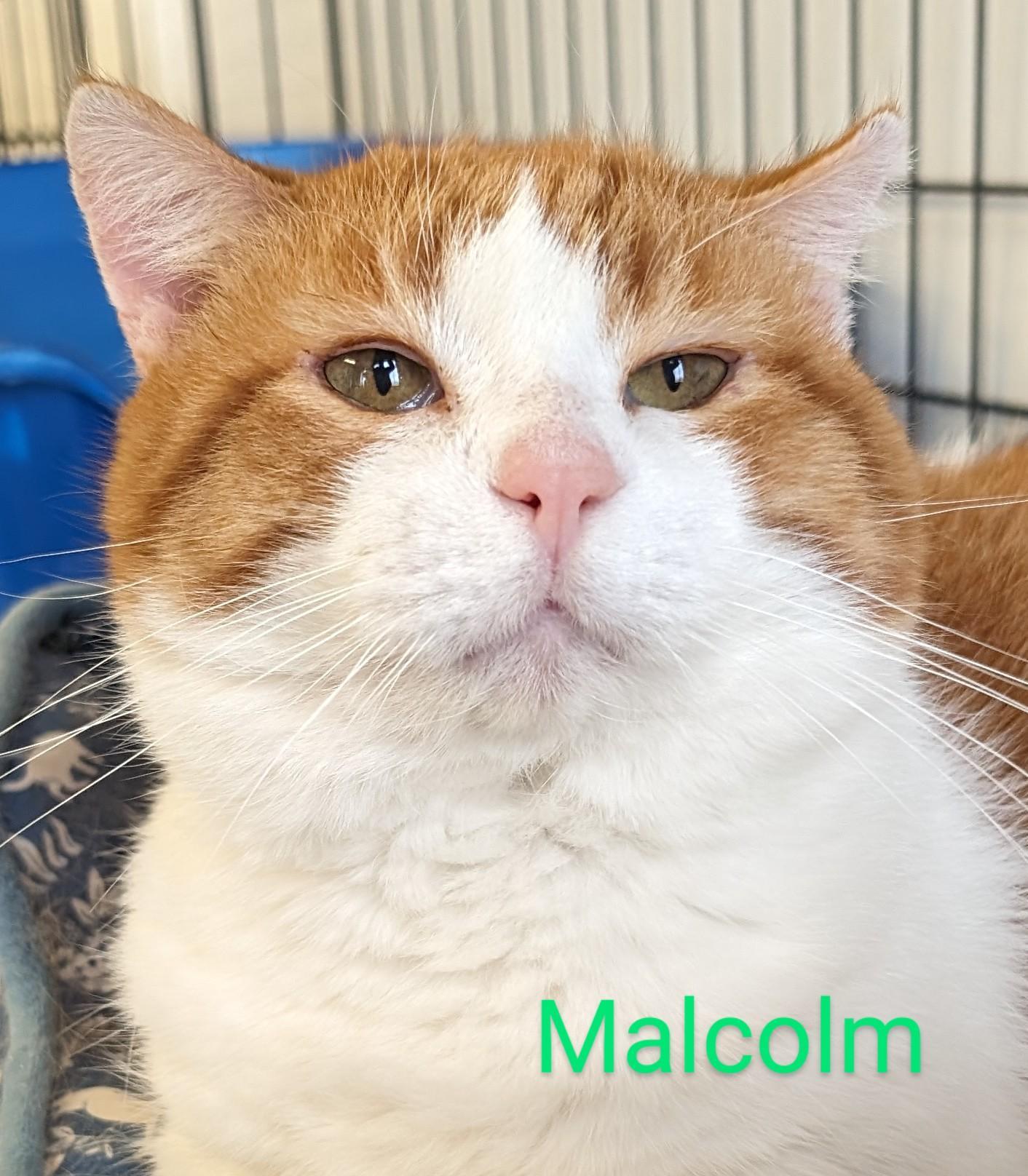 Malcolm