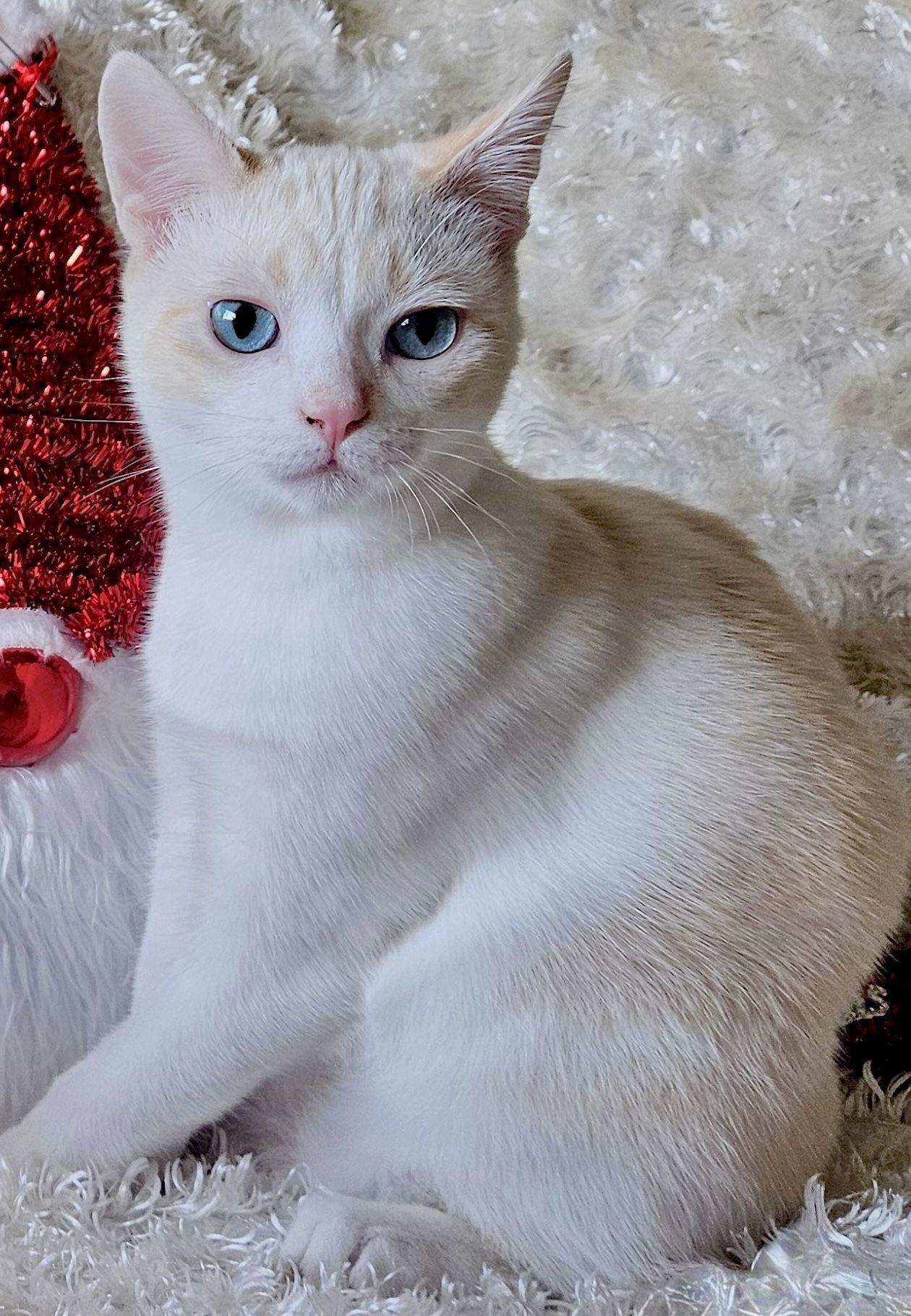 Freya Bonded With photo 1