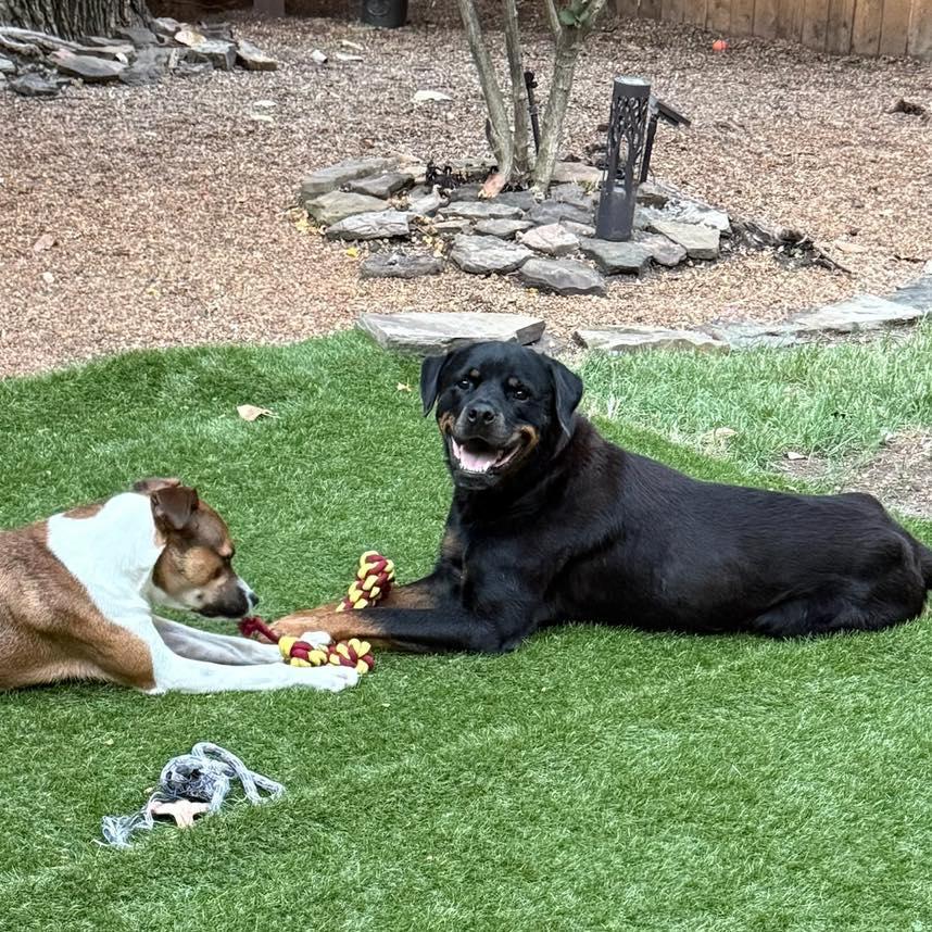 Memphis Slim photo 1