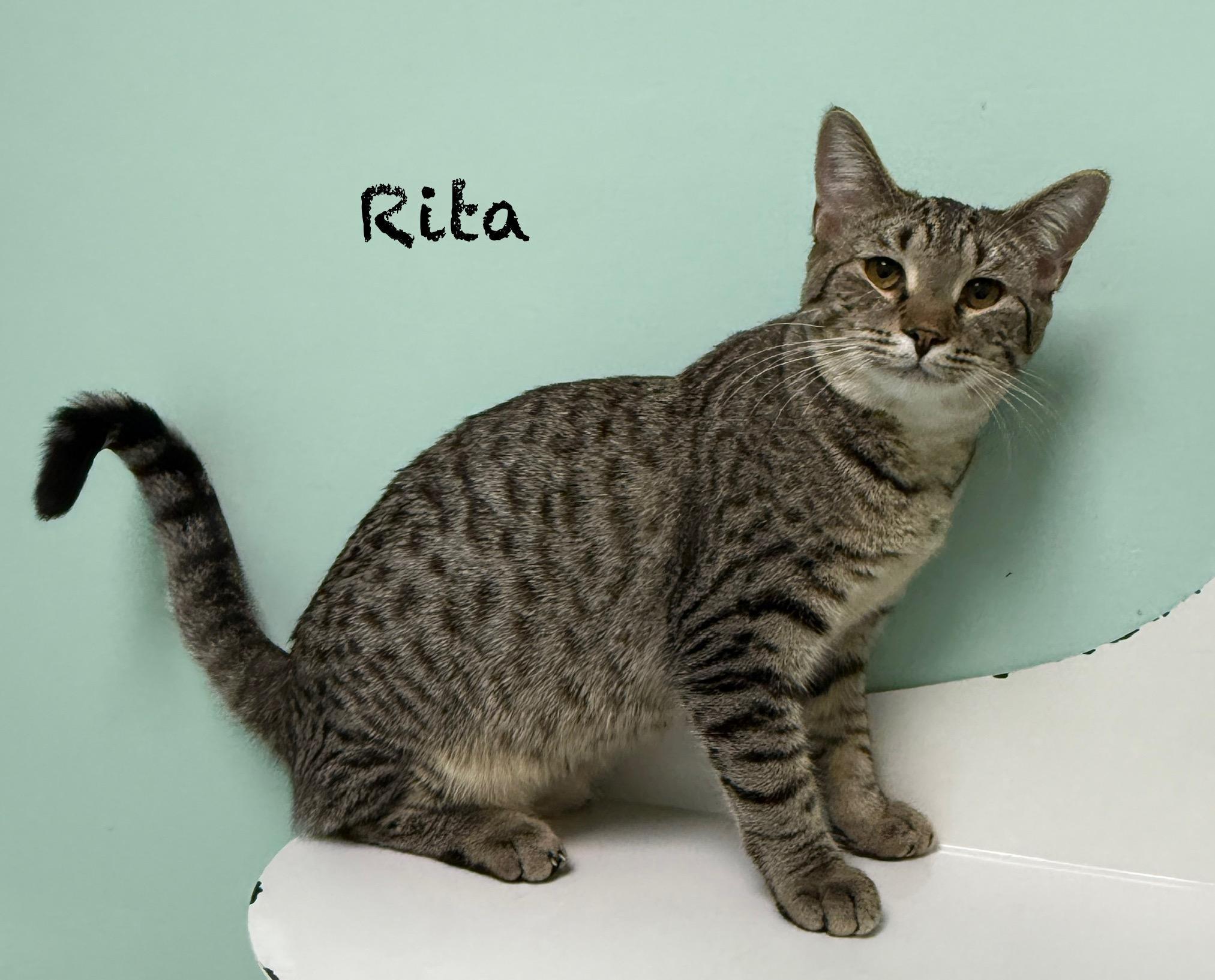 Rita