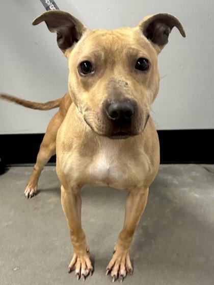 Ouiser Boudreaux Fka