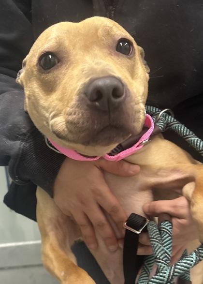 Ouiser Boudreaux Fka