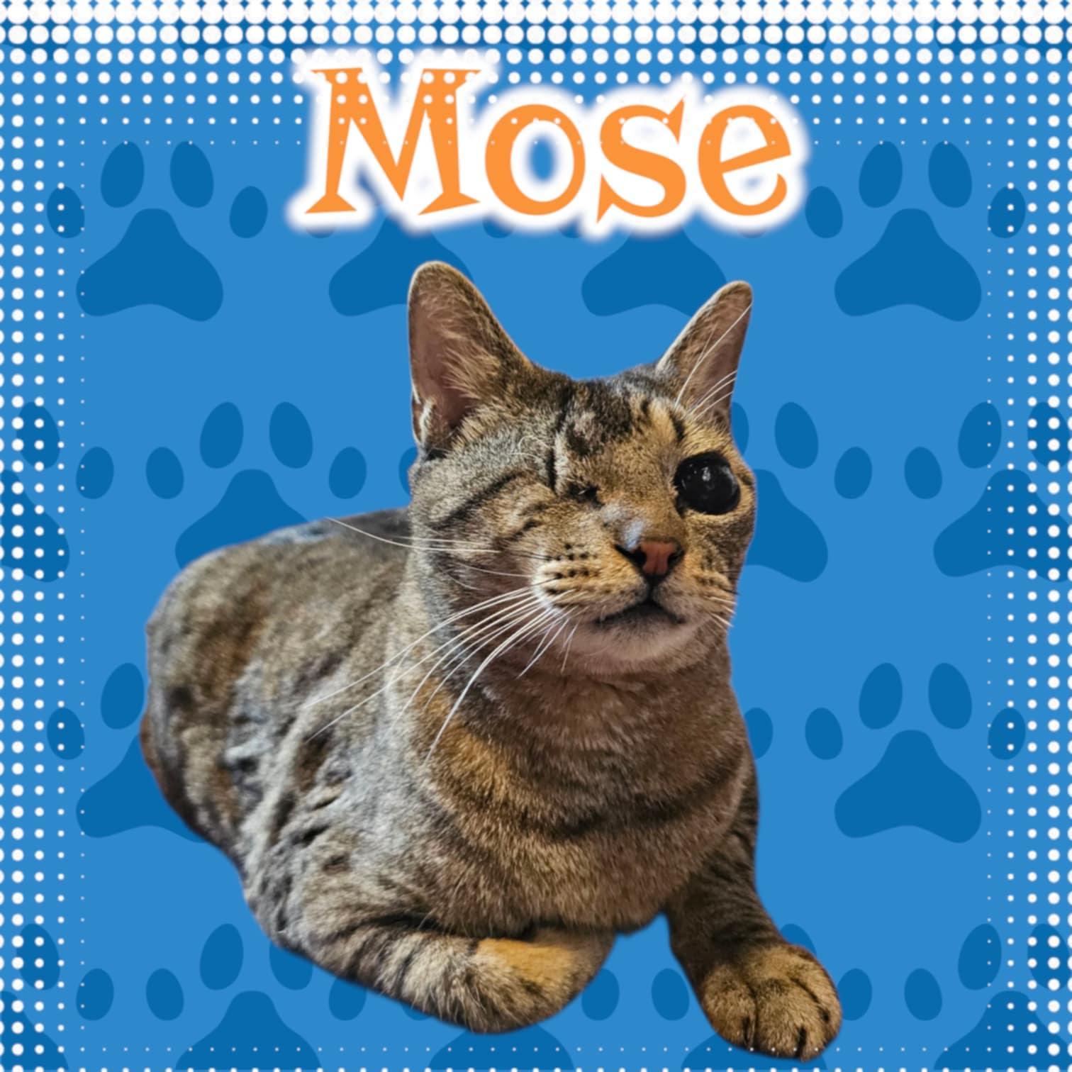 Mose