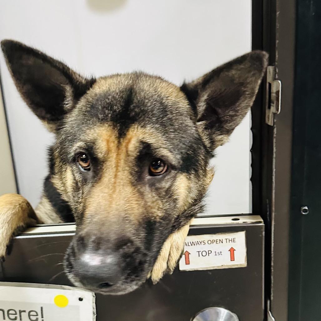 Theo Chino Hills Location