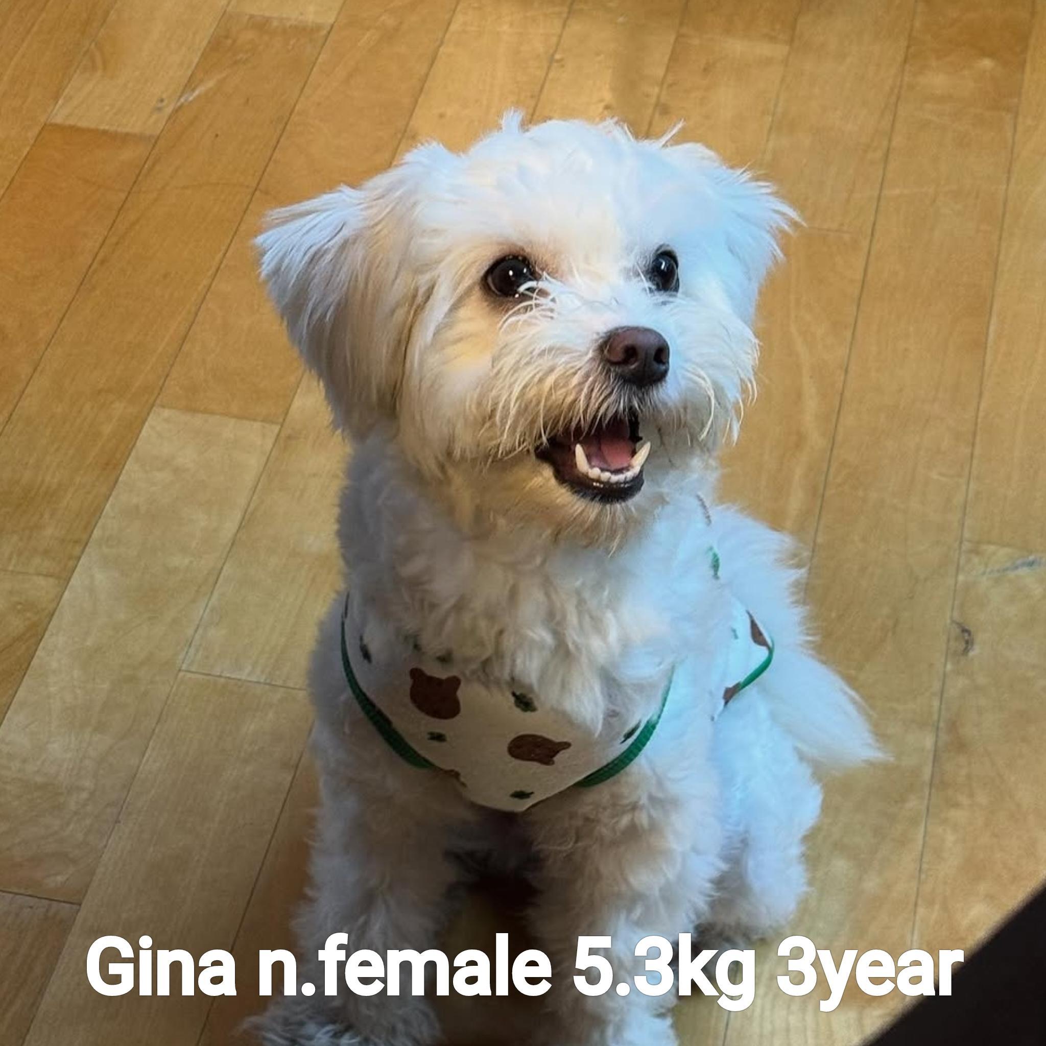 Gina