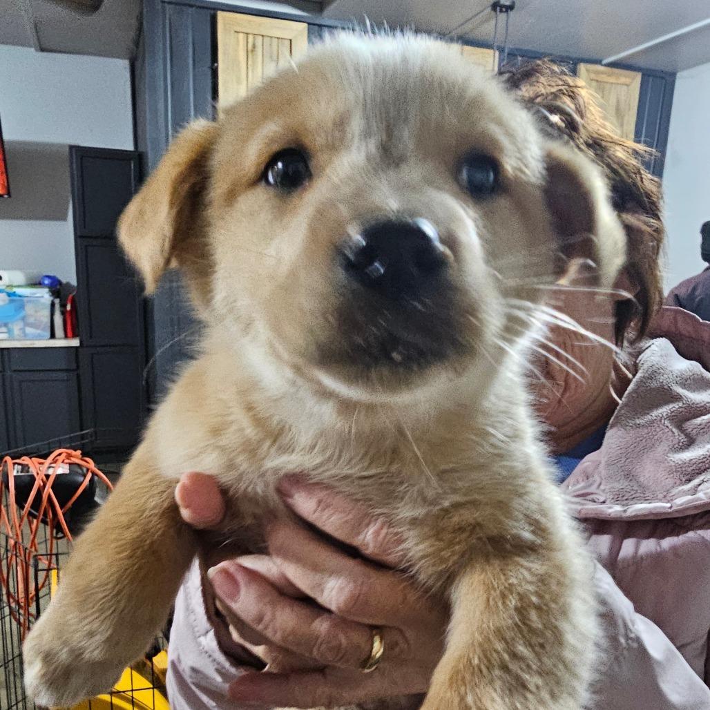 Tatortot Aka Ruby photo 1