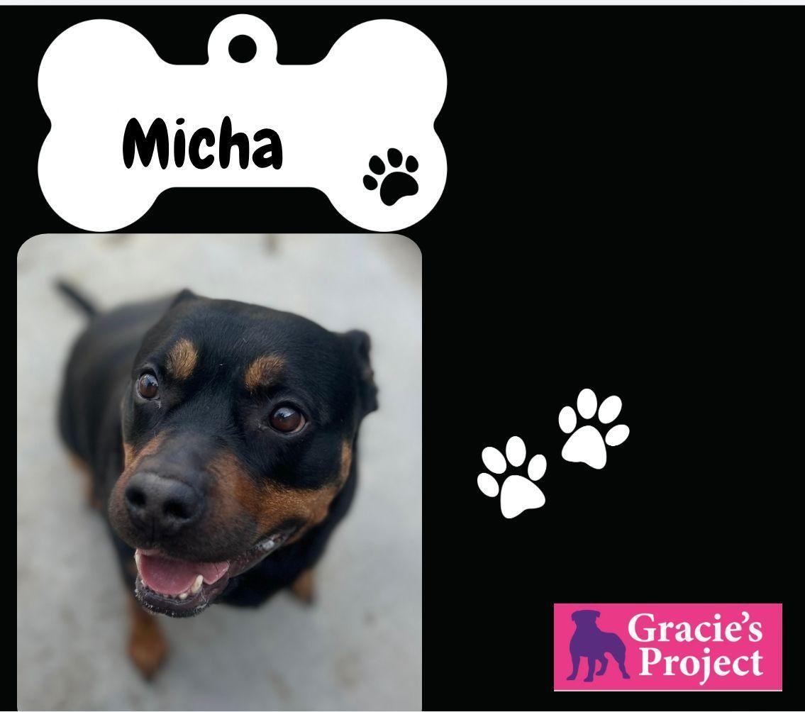 Michsa
