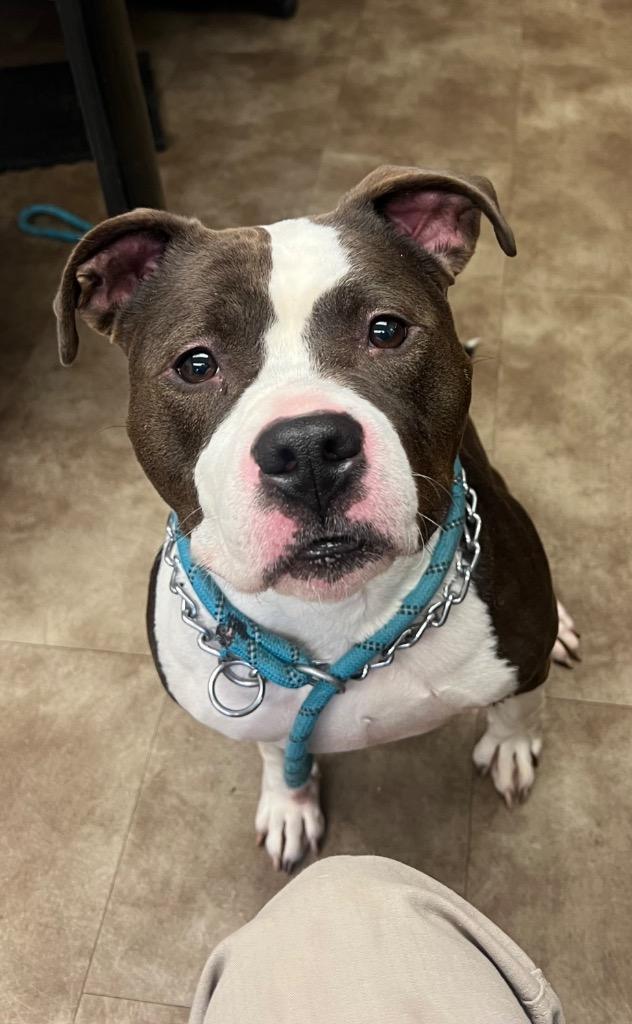 Jelly Bean Baby Girl