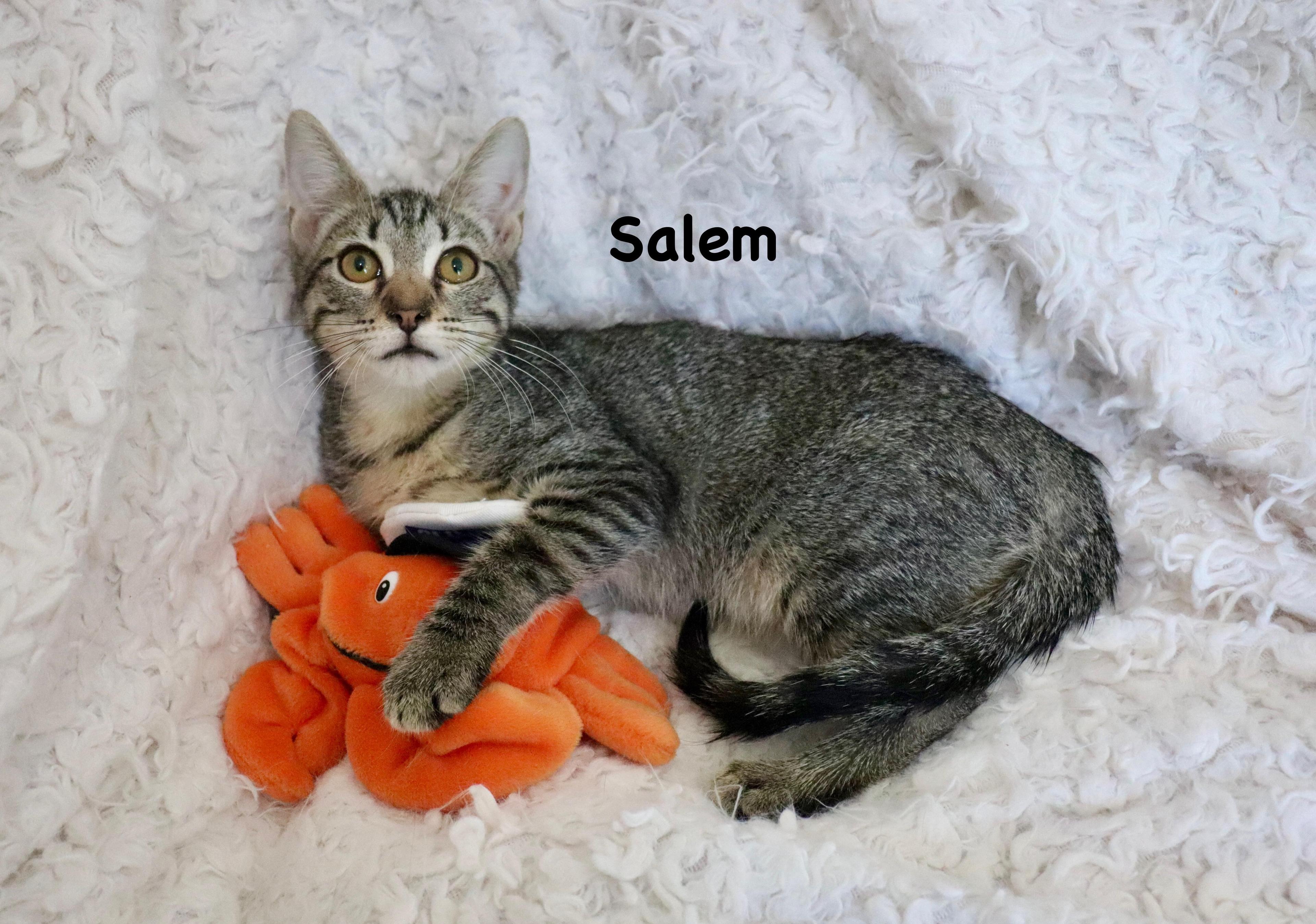 Salem