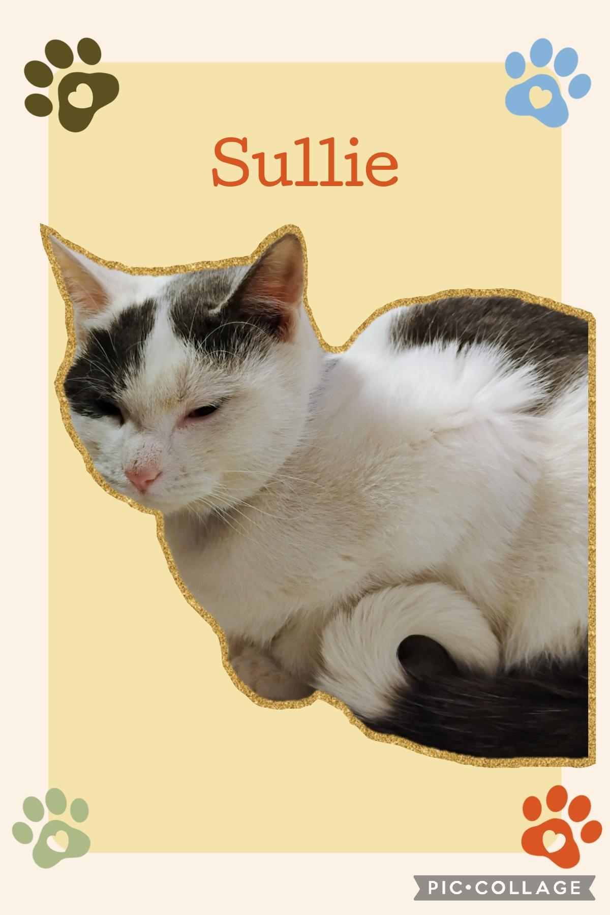 Sullie