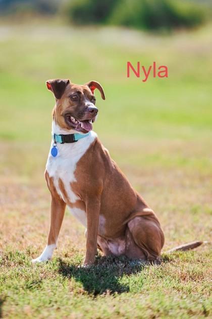 Nyla