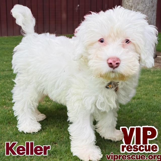 Keller Redington Beach