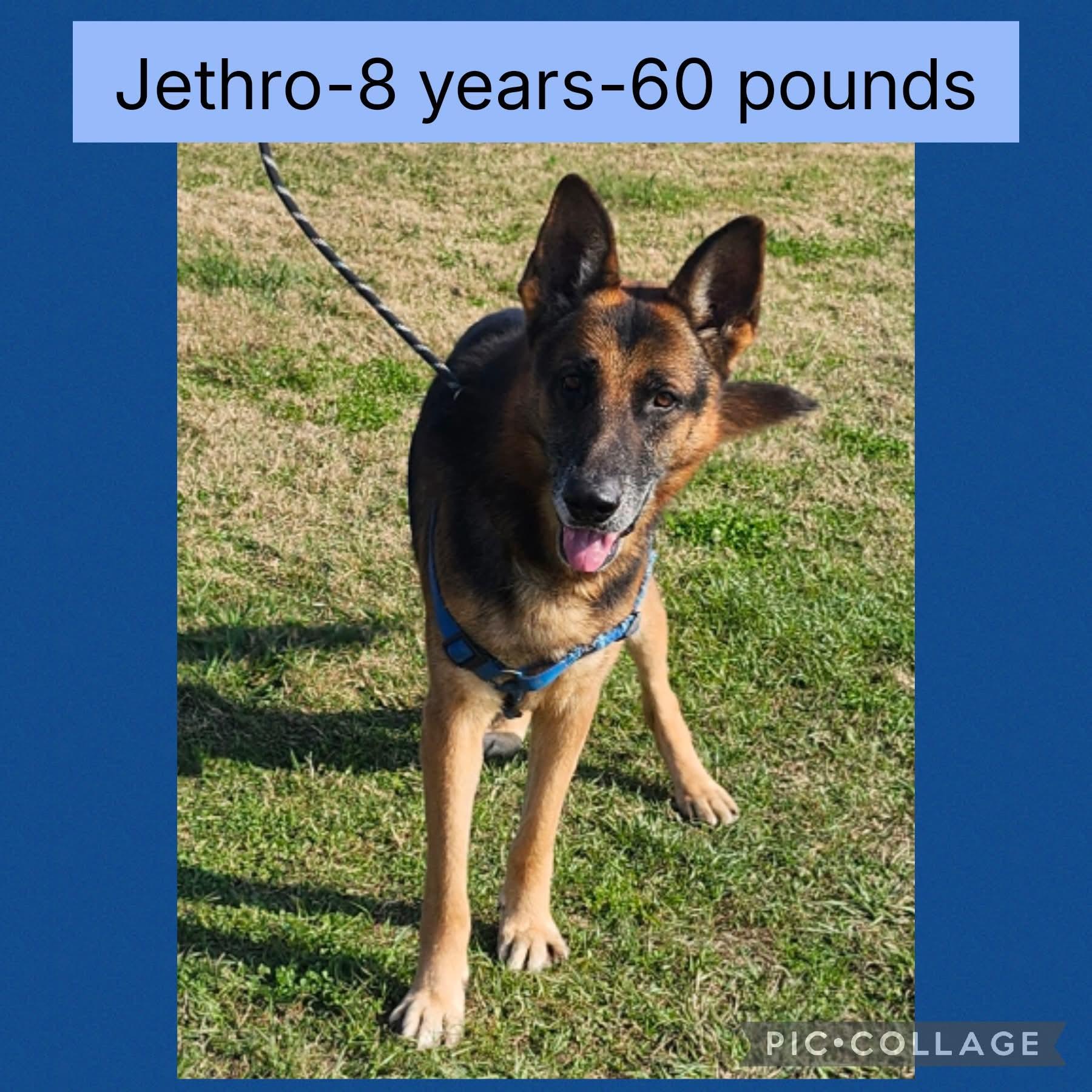 Jethro photo 1