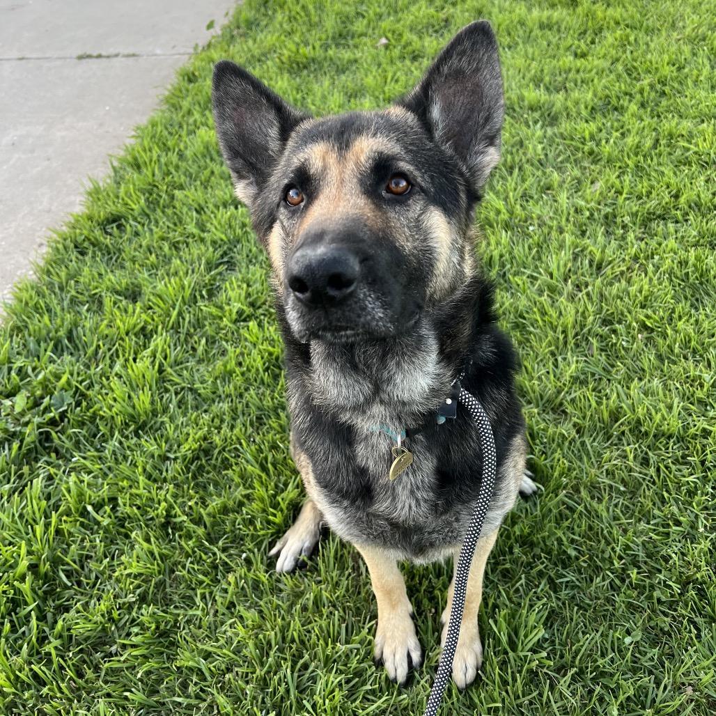 Theo Costa Mesa Location