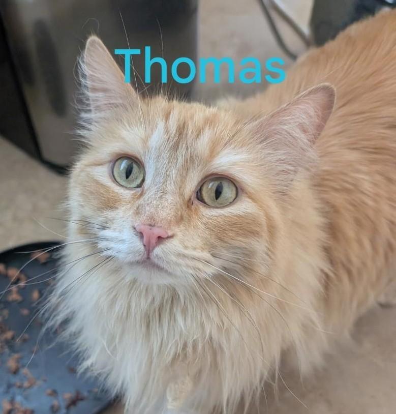 Thomas