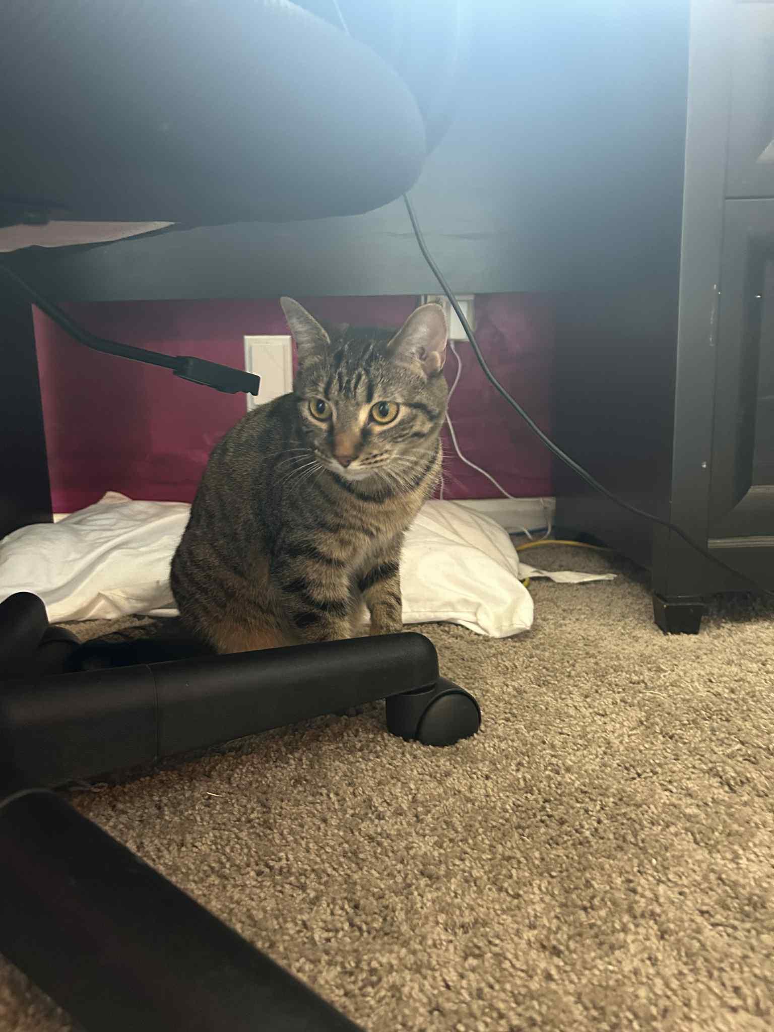 Turbo Granny photo 1