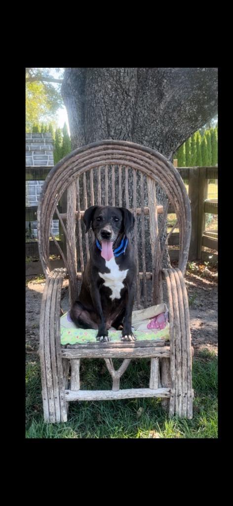 Nestle Meadowood photo 1