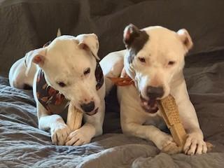 Freya Beautiful Girl