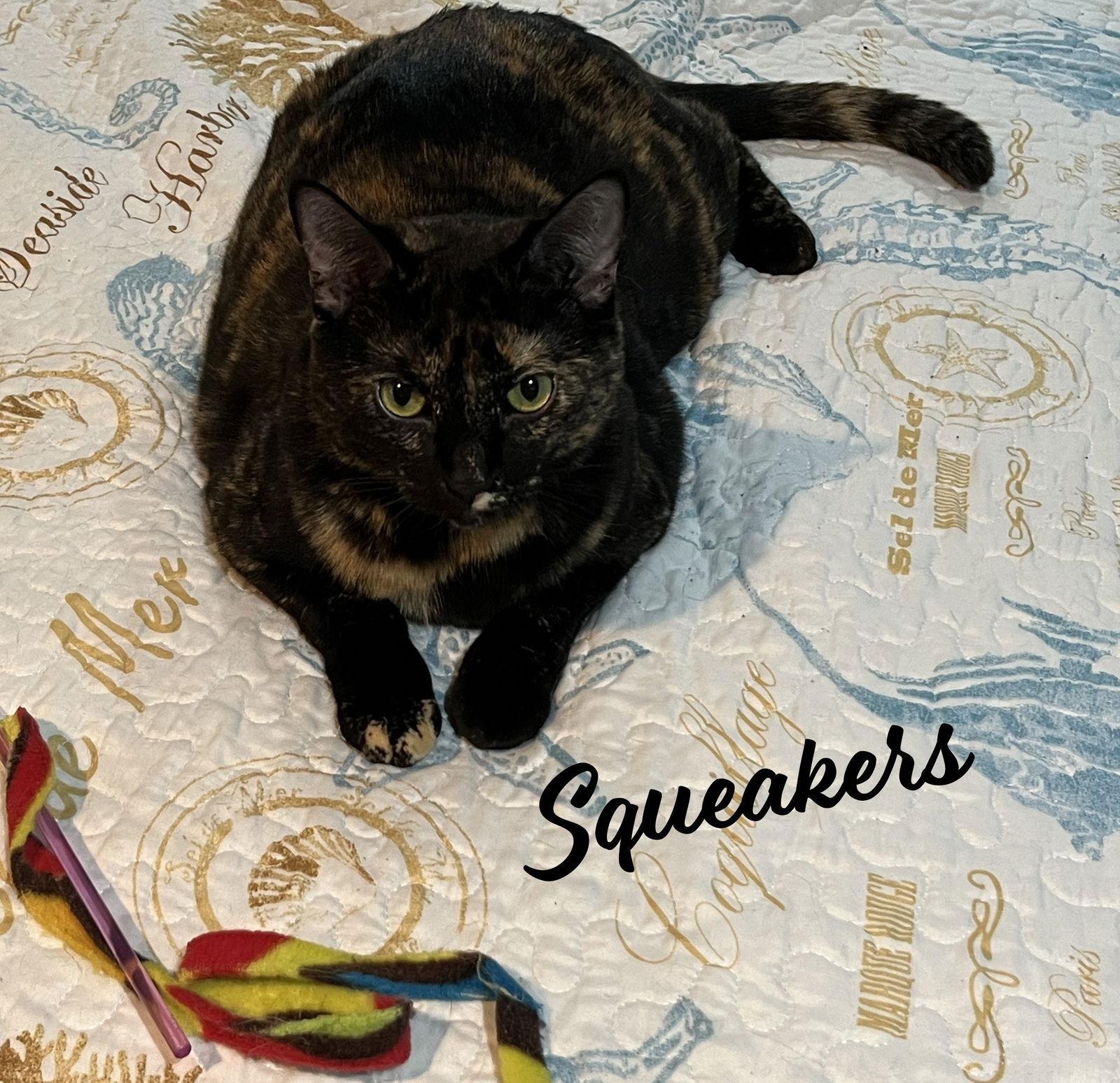 Squeakers Bondedtofelix