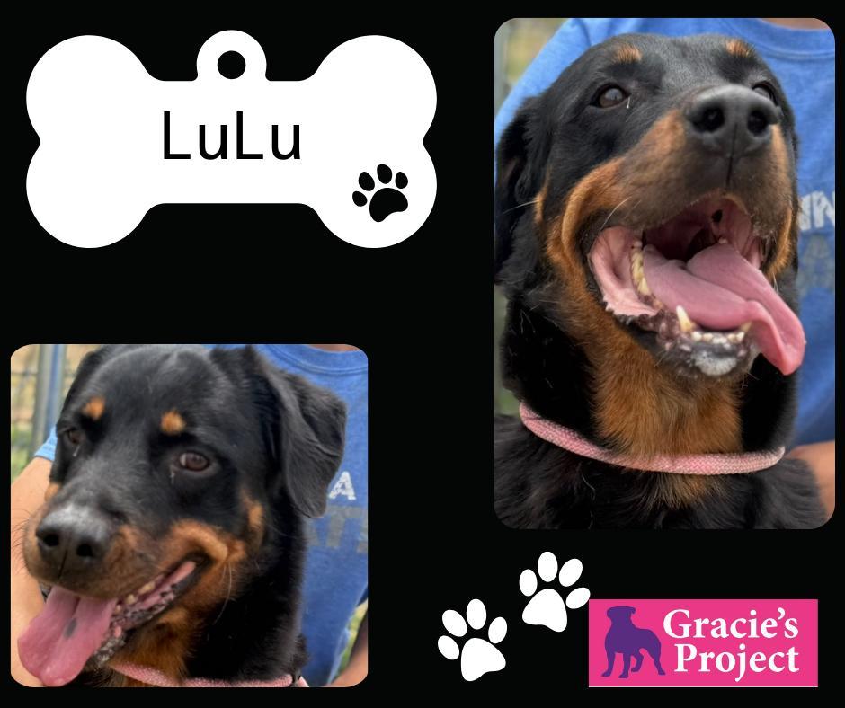 Lulu