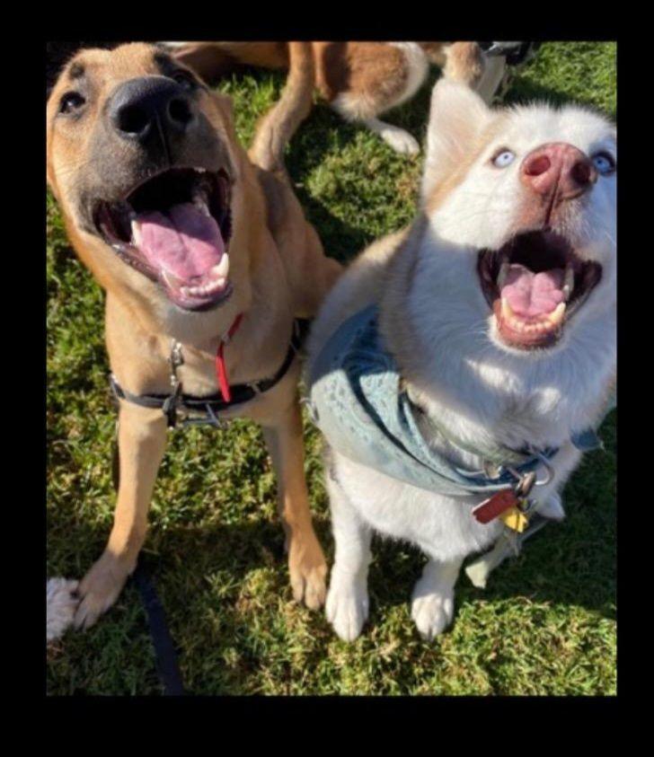 Puttin' On The Blitz