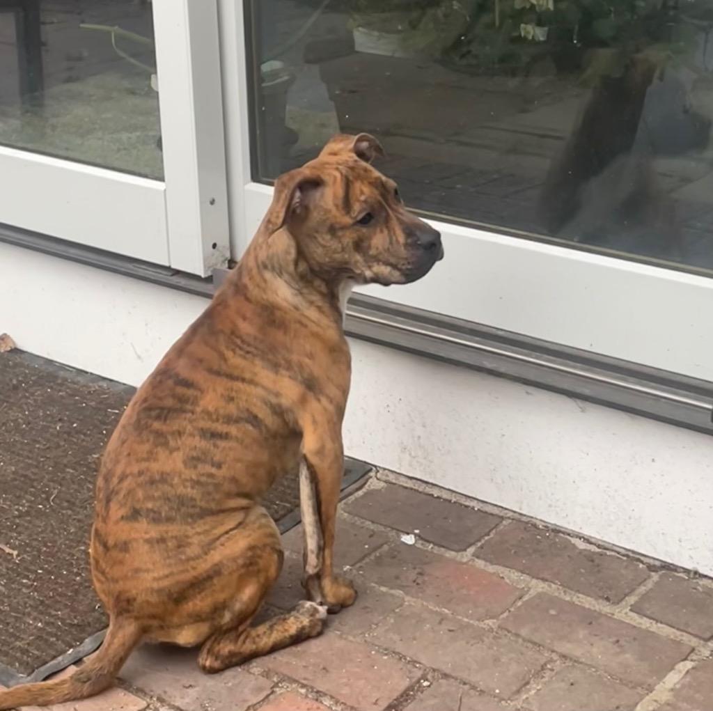 Nala Hernando Local photo 1