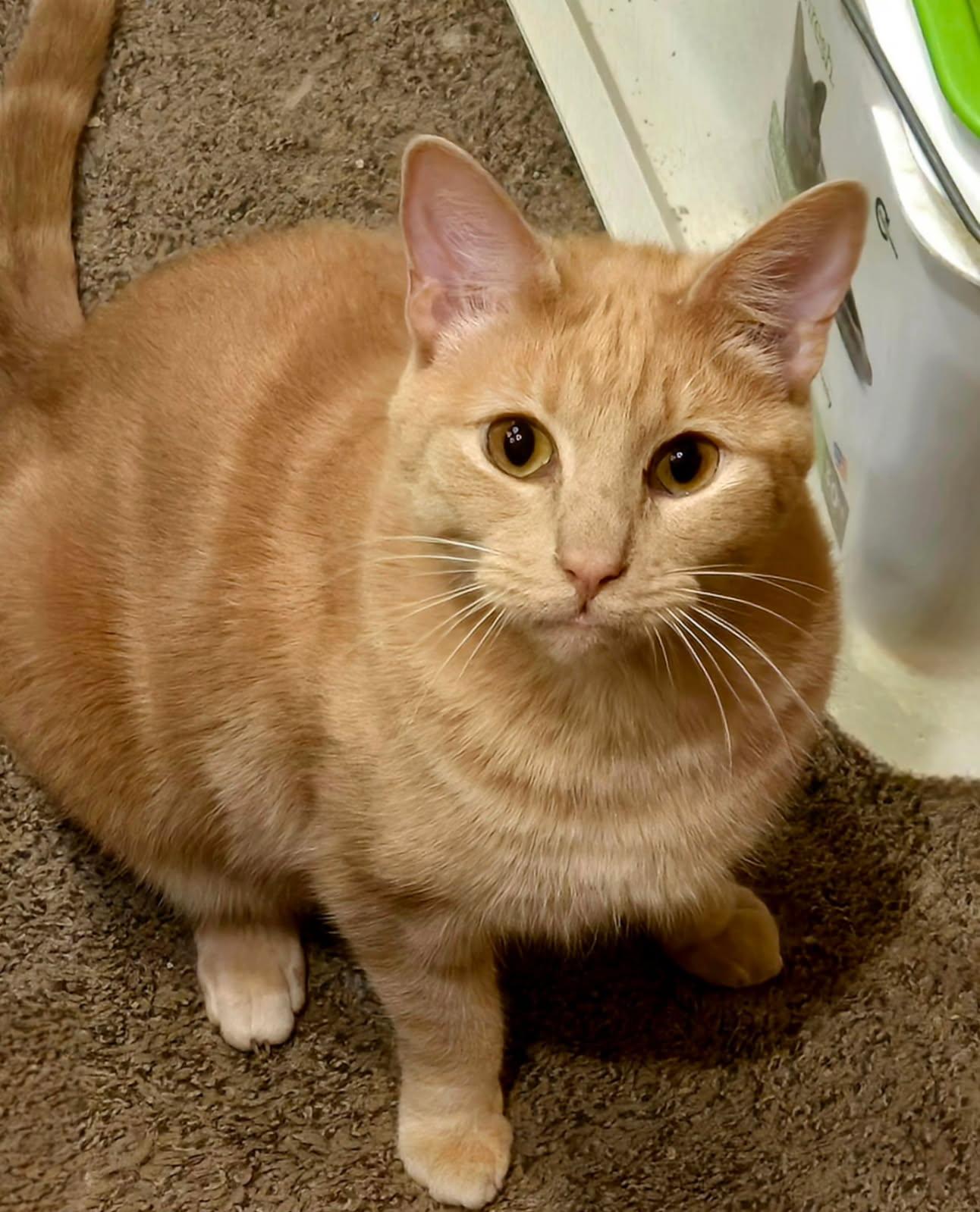 Carlos & Earl Bonded