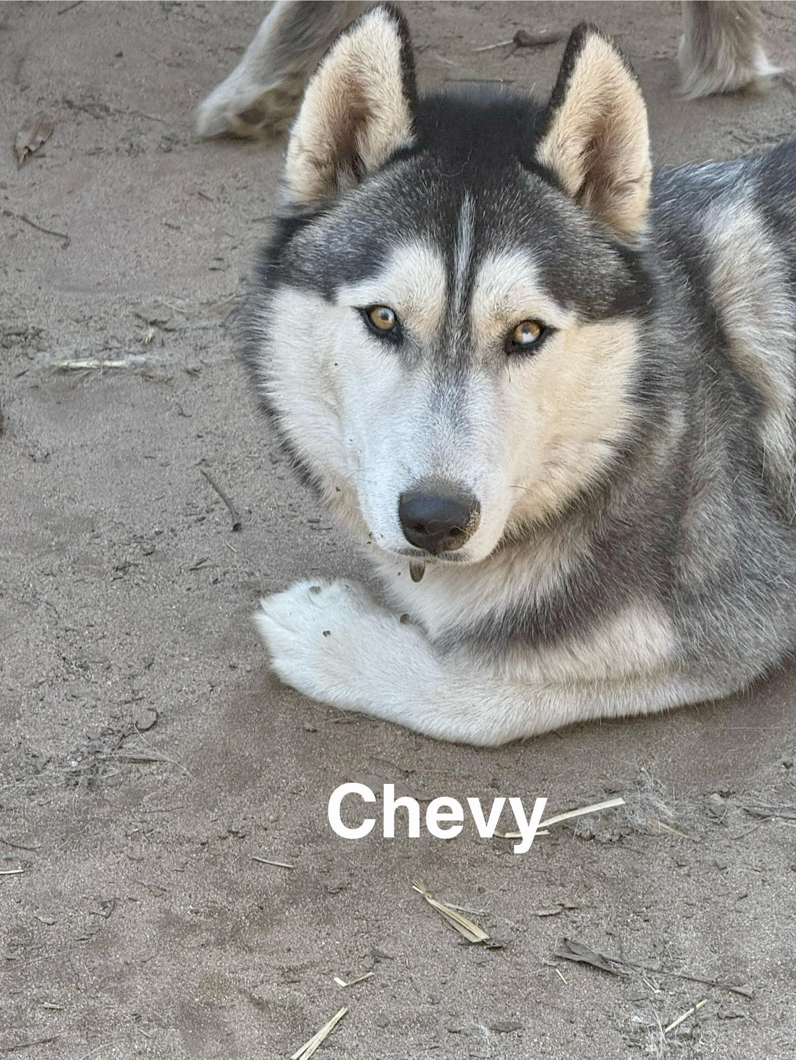 Chevy