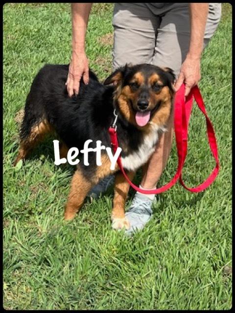 Lefty