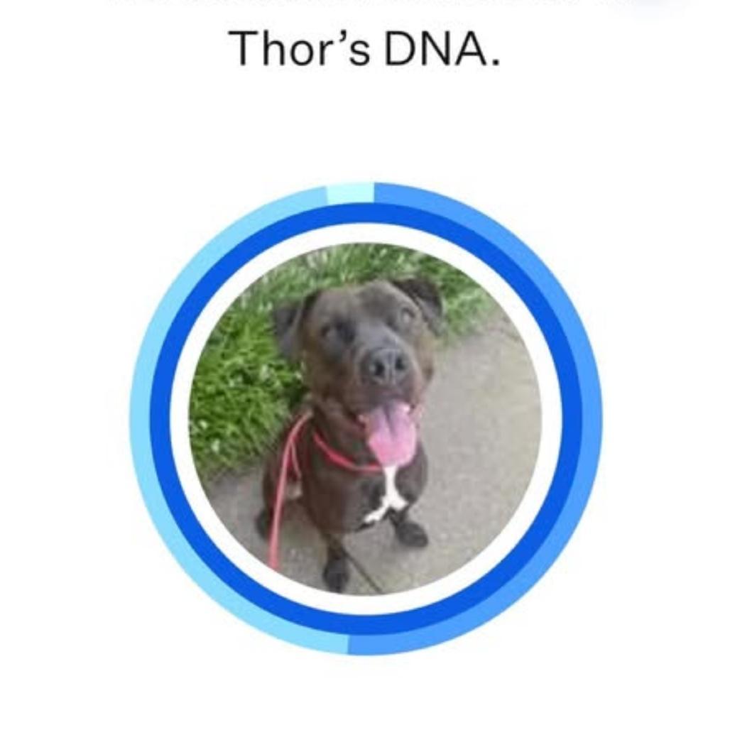 Thor
