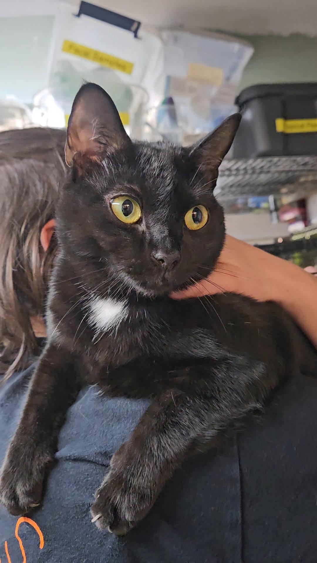 Trinity Cuddly Girl!