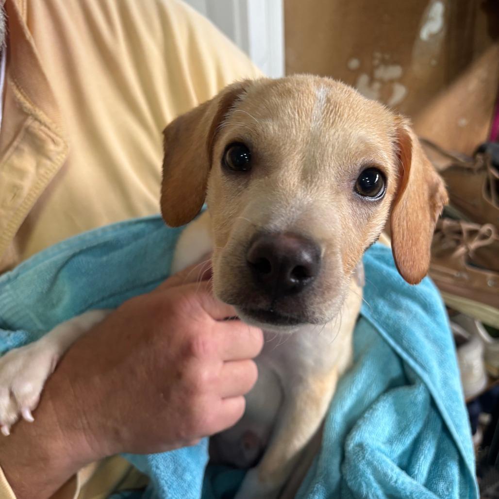 Little Wiggles photo 1