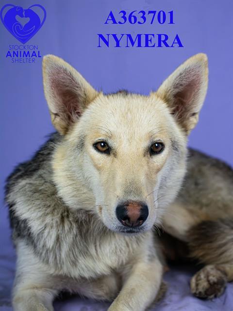 Nymeria