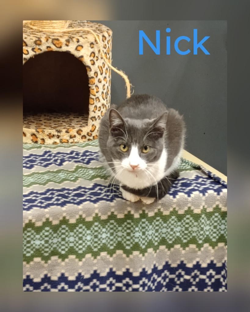 Nick