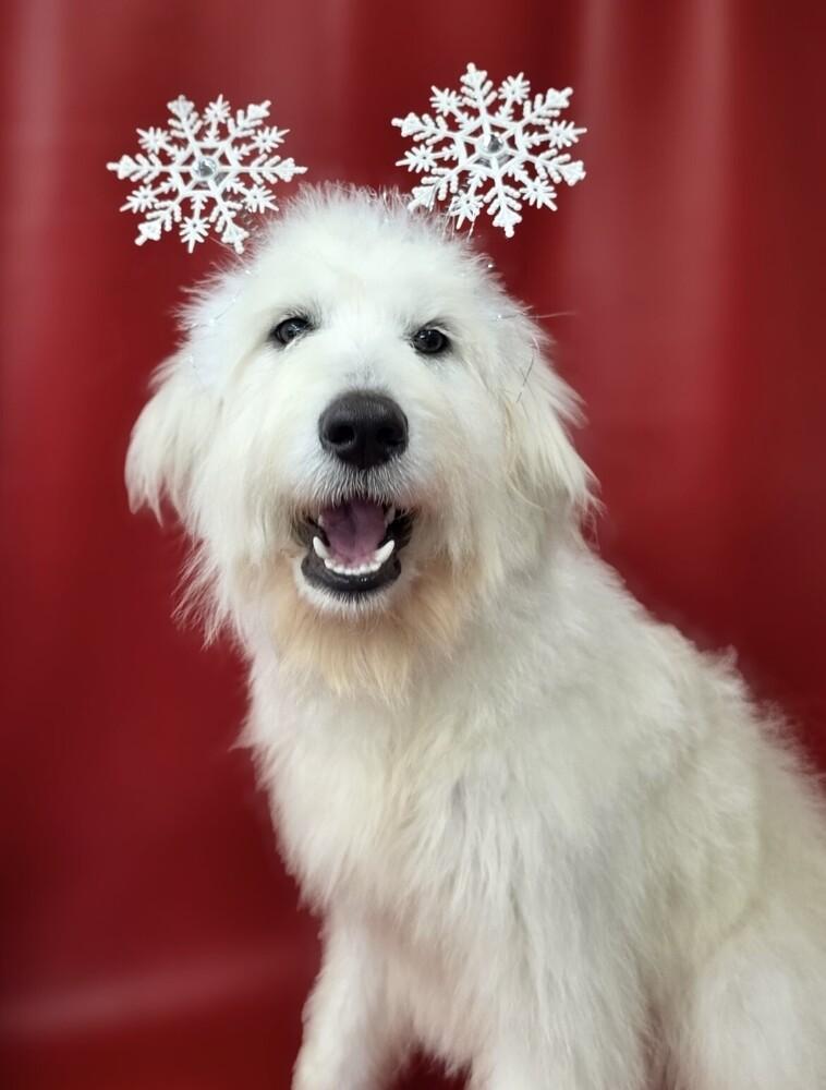 Twinkle No Longer photo 1