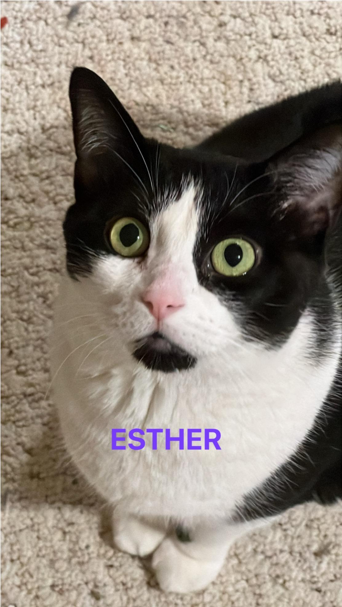 Esther