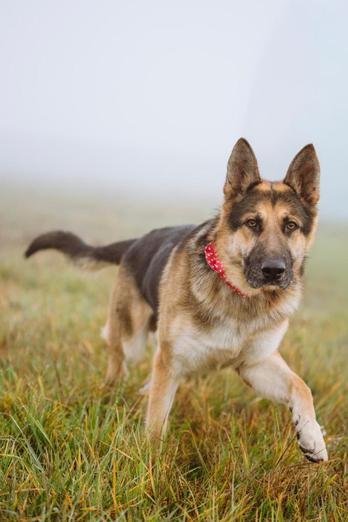 Whiskey Sponsored By