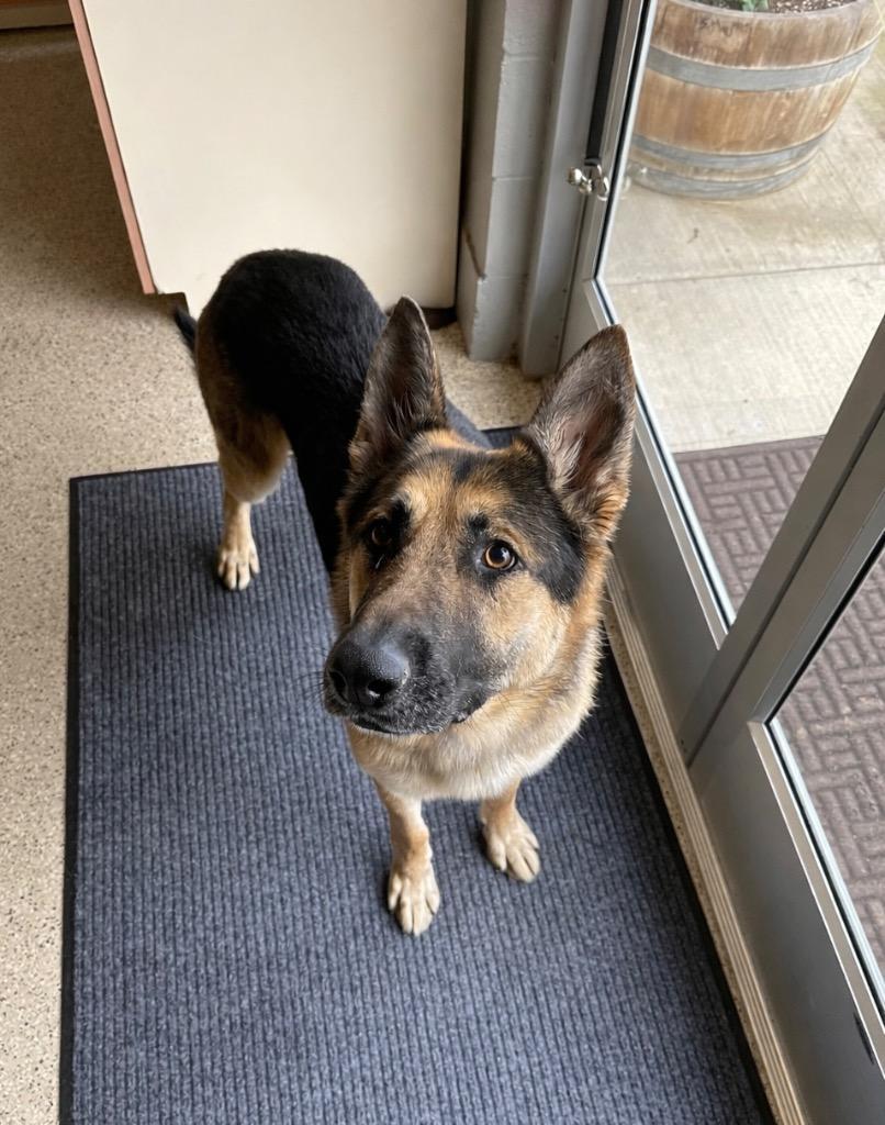 Whiskey Sponsored By