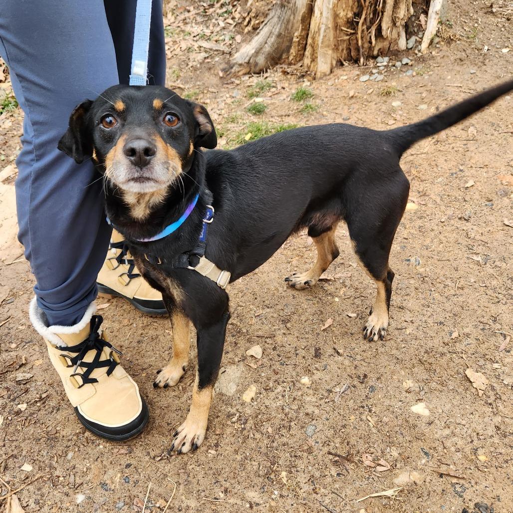 Franklin Aka Frankie