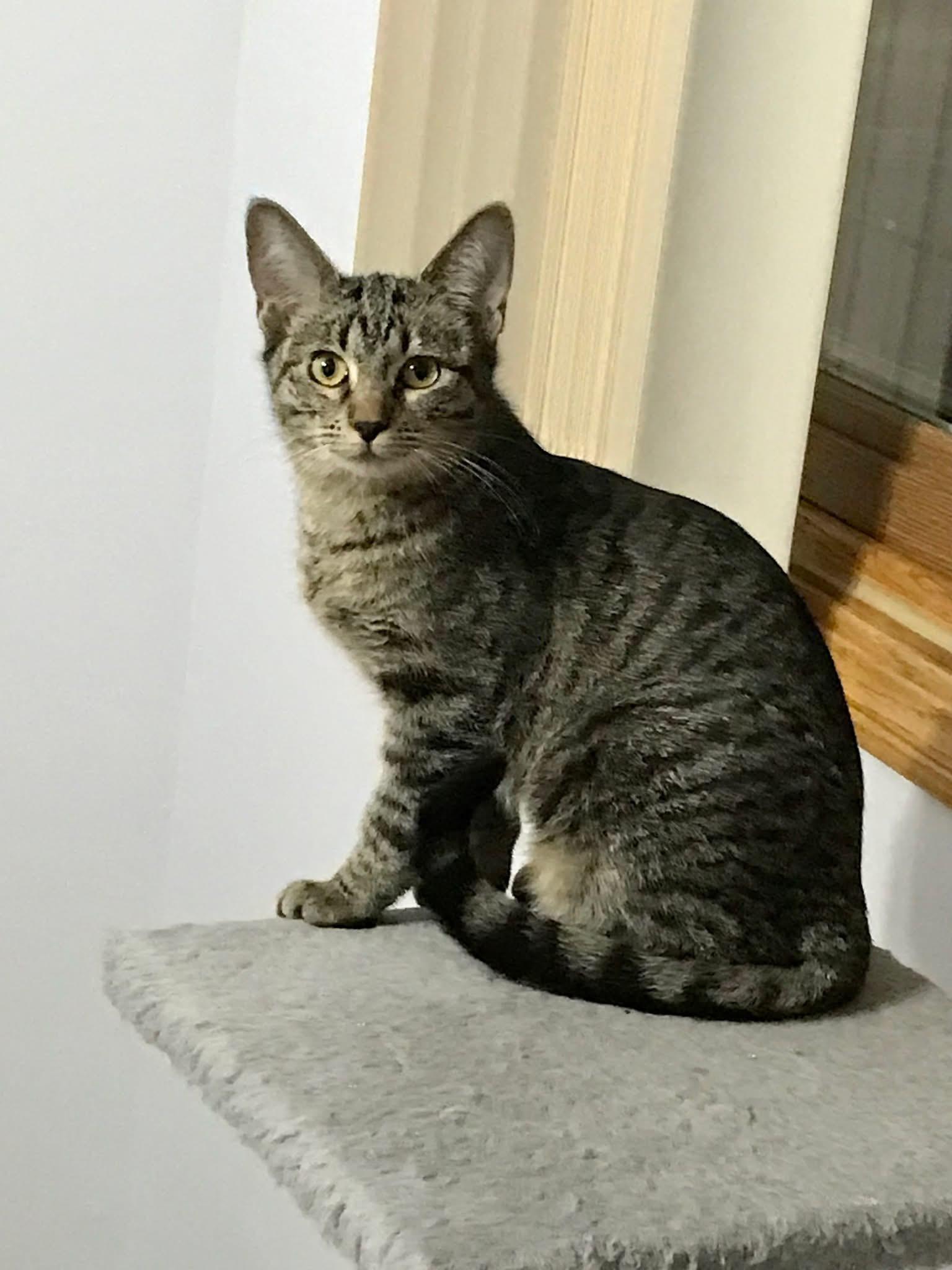 Usher & Britney Spears