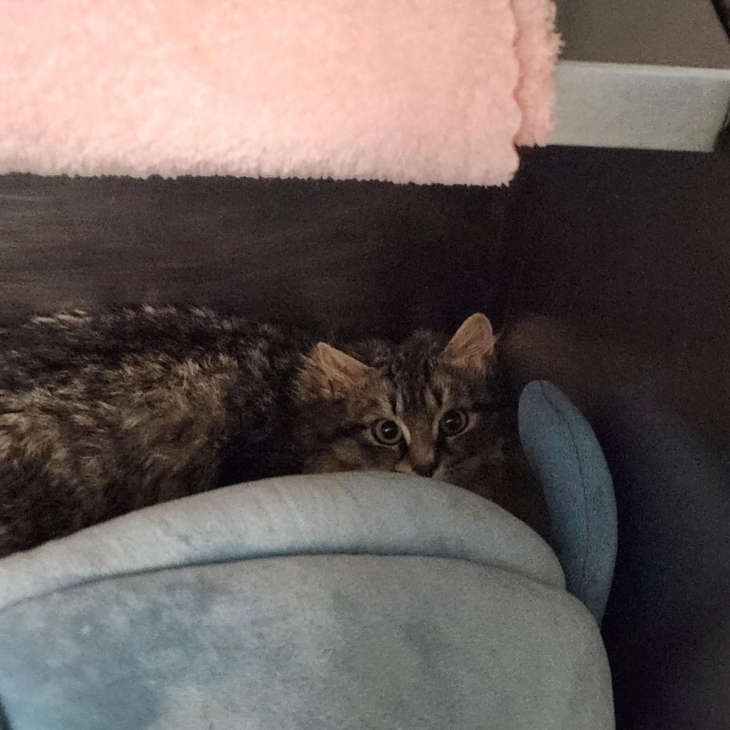 Buster The Great photo 1