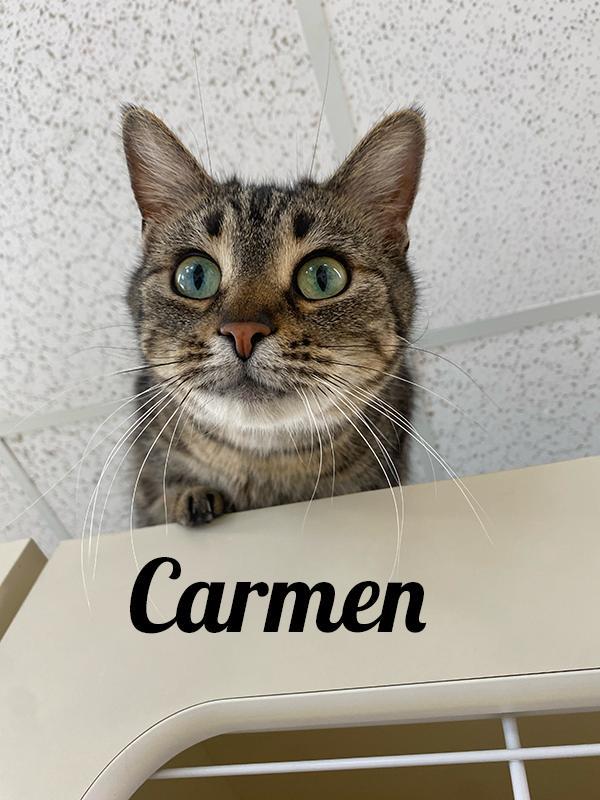 Carmen