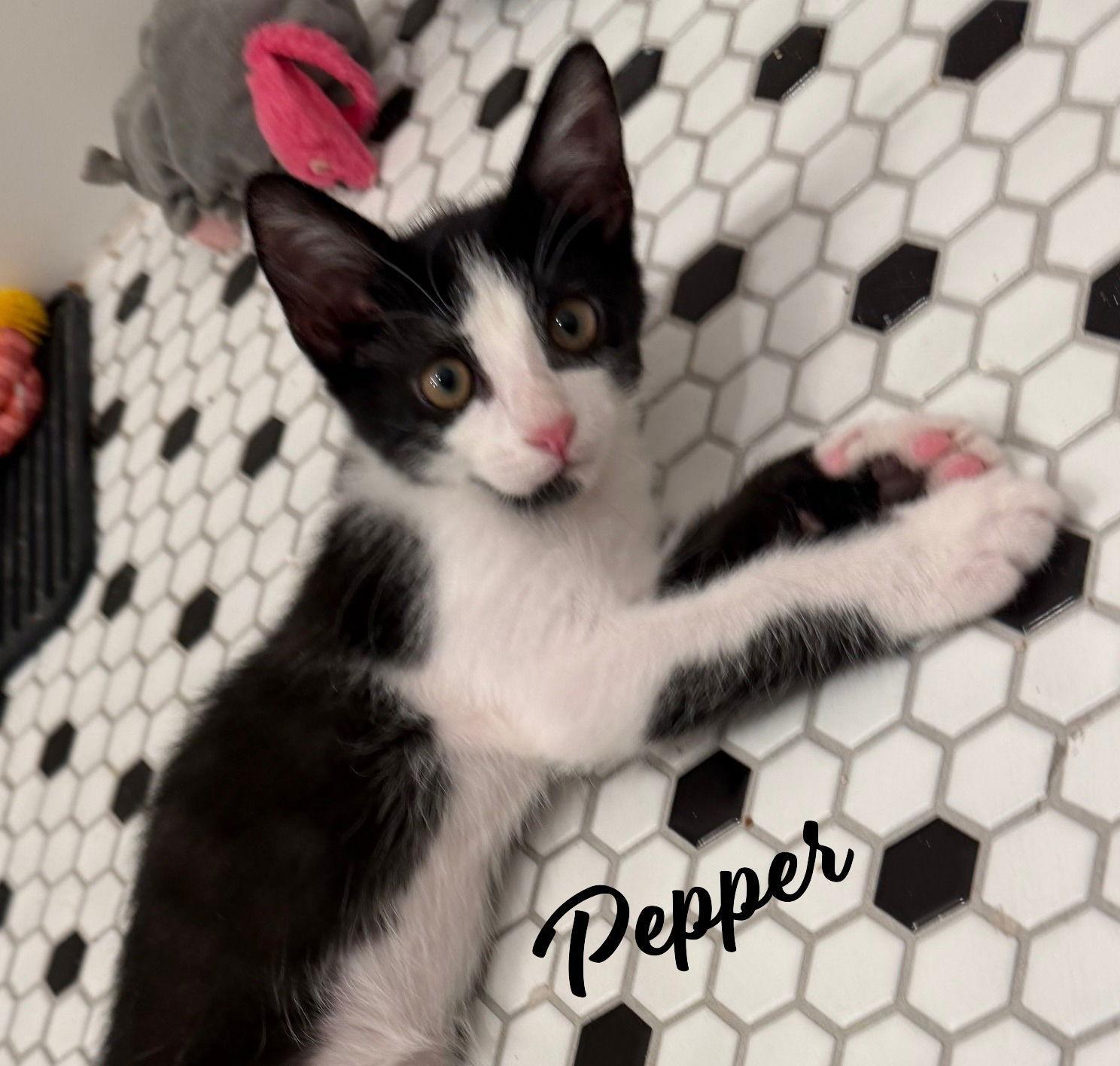 Pepper Brotherofsaffron