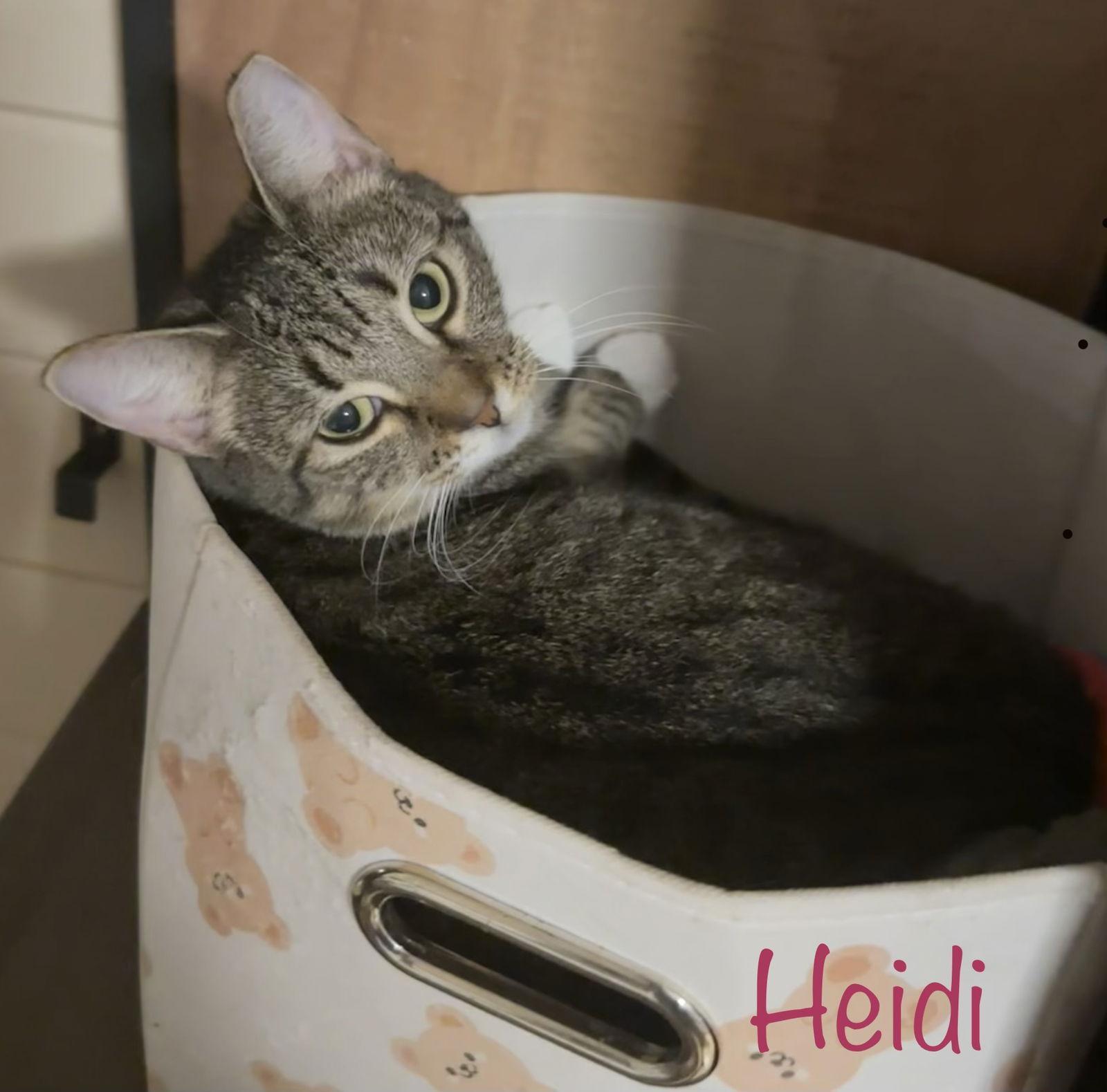 Heidi