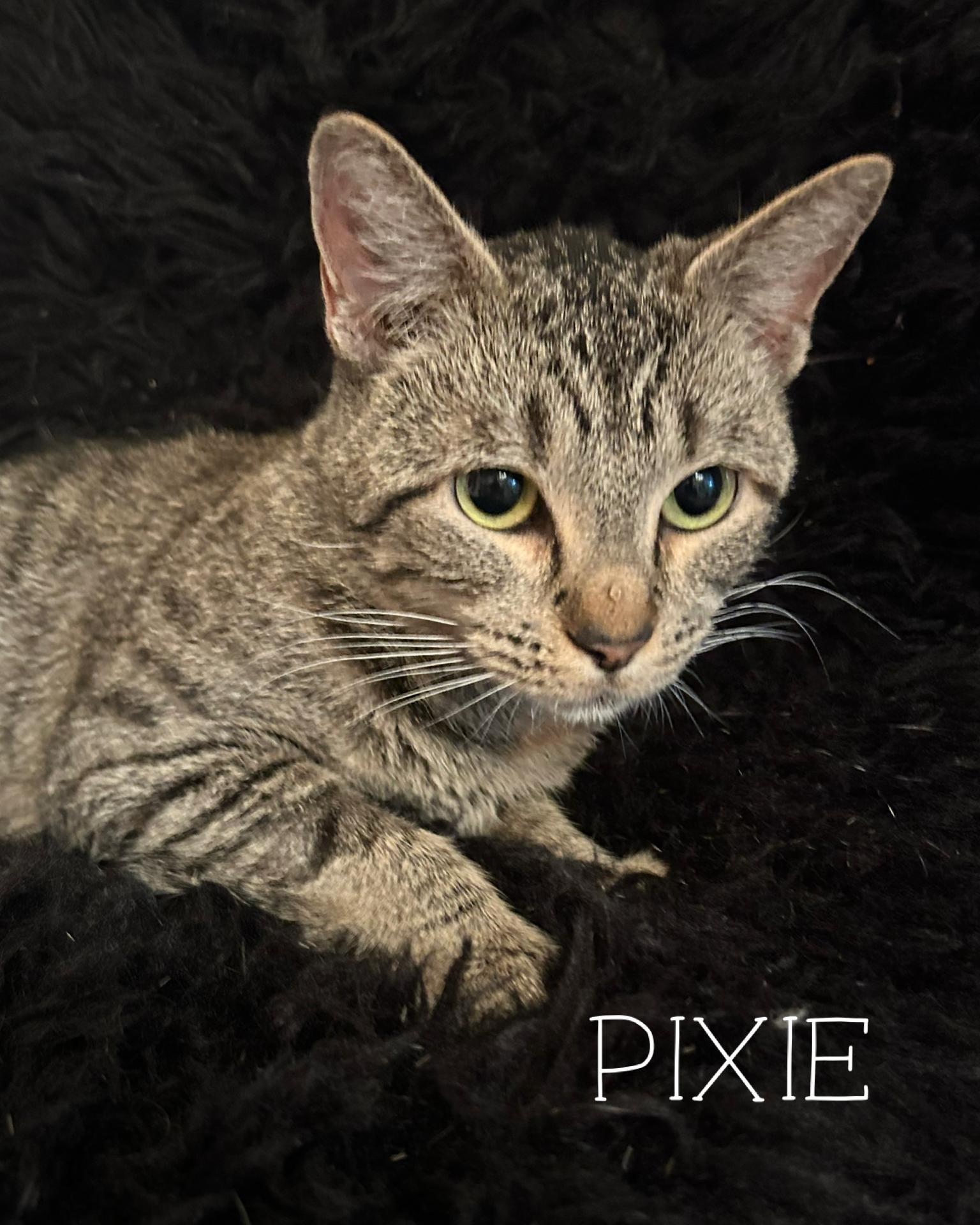 Pixie
